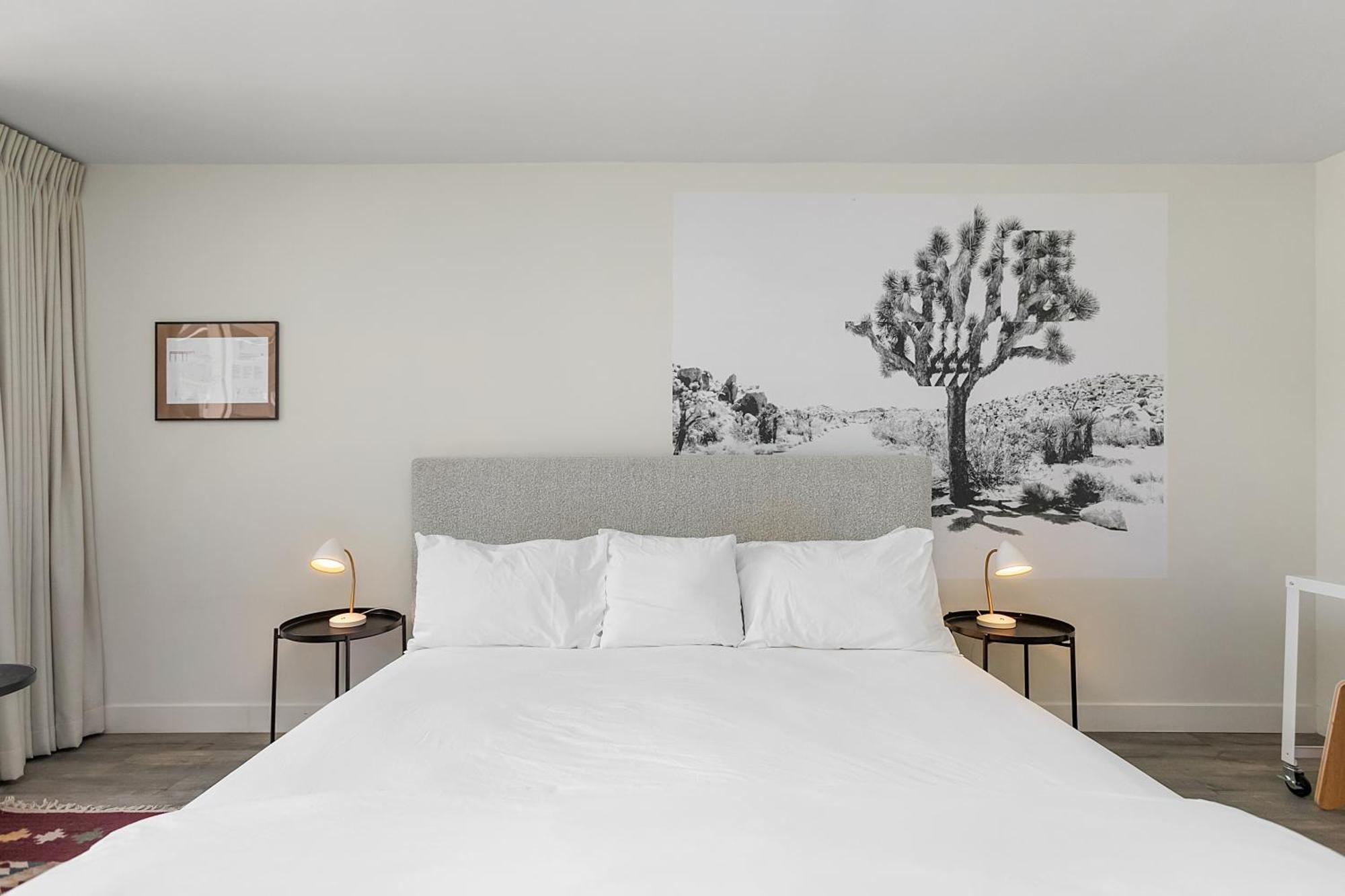 Papago Hotel By Reside, Trademark Collection By Wyndham سكوتسدايل المظهر الخارجي الصورة